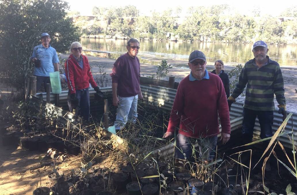 
WORKING BEE: Shoalhaven Riverwatch volunteers Peter Jirgens, Ros Christie, Ian Bice, John Miskelly, Julie Jirgens and Bill Ellis cleaning out the nursery following the floods and silt deposits.