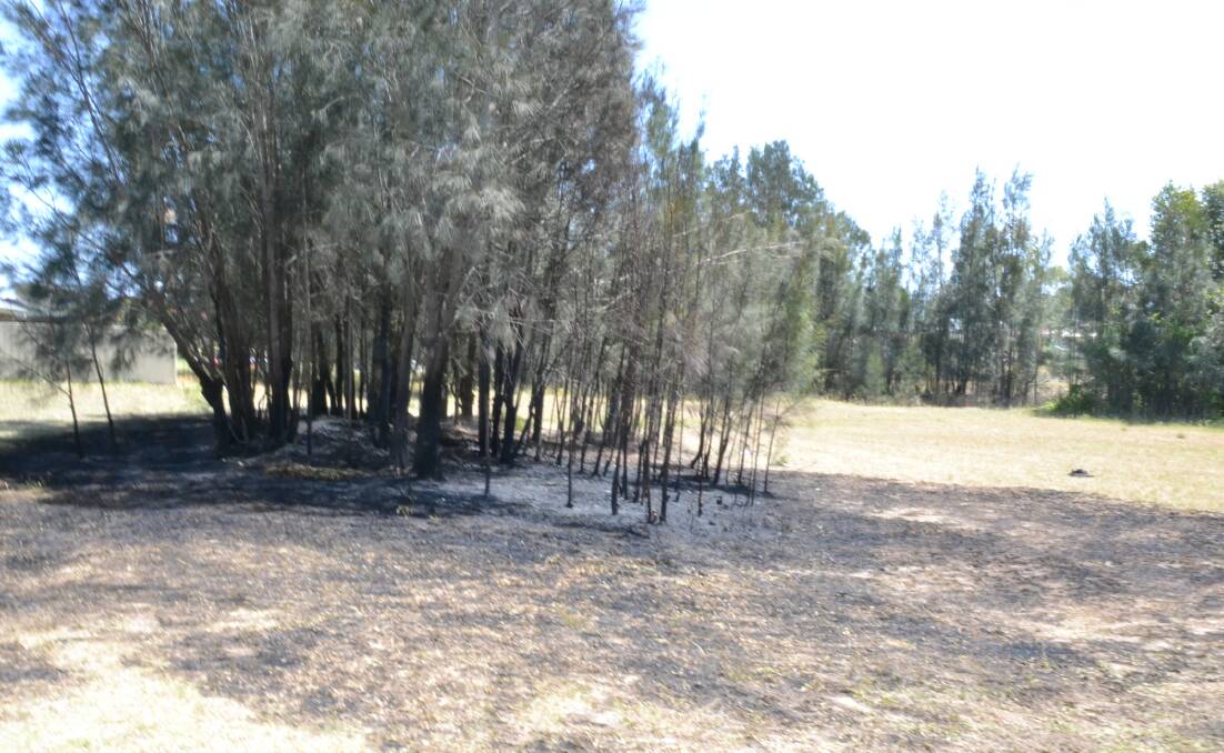 A section of bushland burnt out in a suspicious fire off Stanbury Place at Worrigee on Tuesday.
