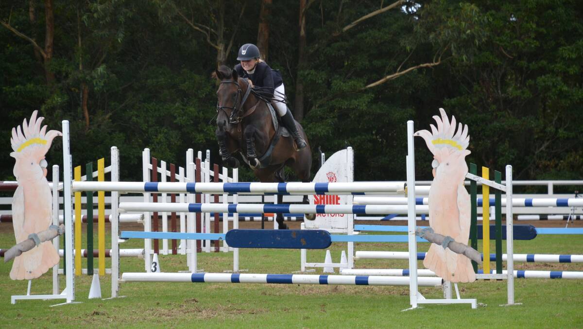 UP AND OVER: Thirteen -year-old Maddison Brighton puts Anembo Monach over one of the jumps during the Nowra Show Showjumping competition, Maddi is the granddaughter of Nowra's own equestrian Olympian Merv Bennett.
