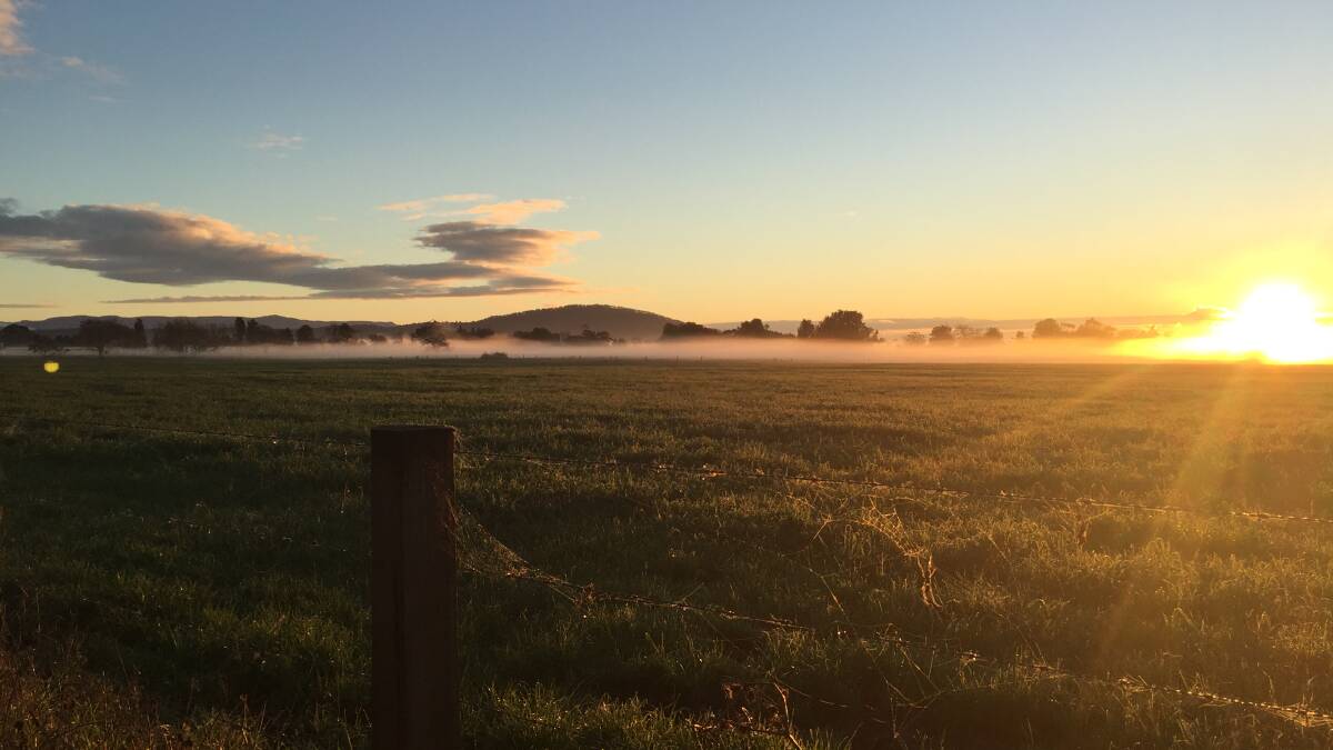 PIC OF THE DAY: A foggy start to the day on the Shoalhaven floodplain. Email your photos to editor@southcoastregister.com.au 