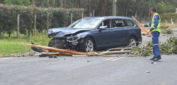 HELP: NSW Ambulance paramedics help four people trapped in a car on Jervis Bay Road after a tree came down onto their car bringing powerlines with it.