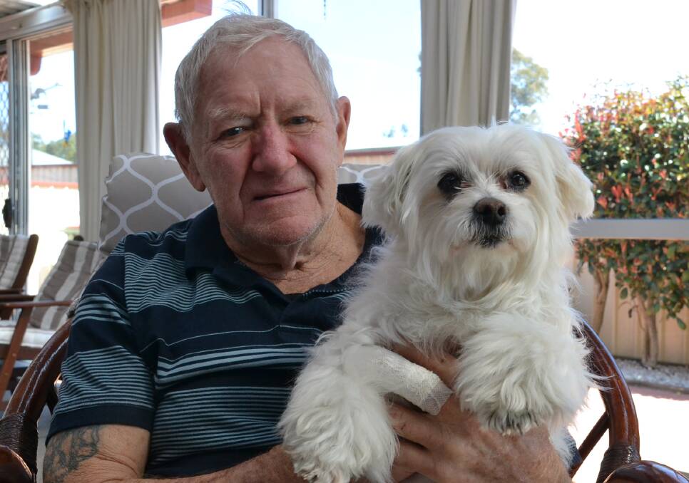 BRAVE FIGHT: Brian Sargeson with his nine-year-old Maltese, Hozay, who survived a dog attack last Thursday. His son's 10-year-old Maltese Shih Tzu, Eric, was killed in the attack.