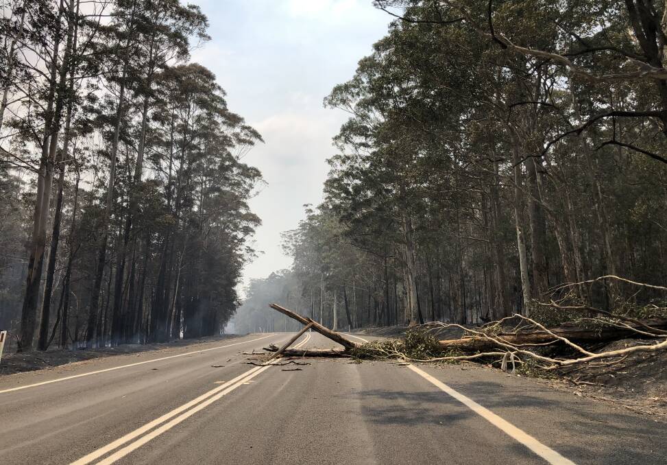 WORK: Traffic conditions on the Princes Highway between Nowra and Ulladulla will be interrupted this week for tree removal along the roadside.