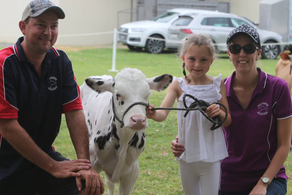 Champion parader was taken out by seven-year-old Ella Walsh with her calf Waljasper Miranda Lola and her proud parents Justin and Libby.
