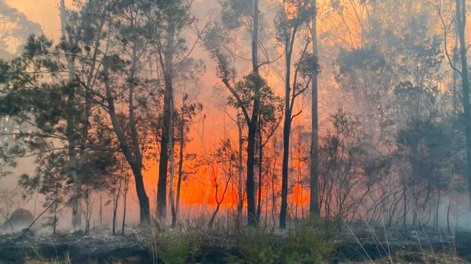 West Nowra bushfire. Photos: Shoalhaven, Basin View and Shoalhaven Heads RFS