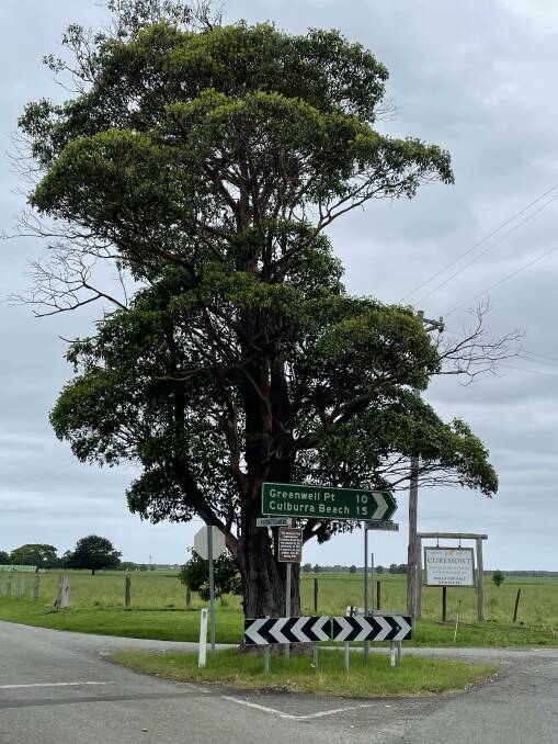 REMEMBRANCE: Another of the memorial trees to the east of Nowra, this one at the corner of Jindy Andy Lane and Comerong Island Road at Numbaa, and its commemorative sign.
