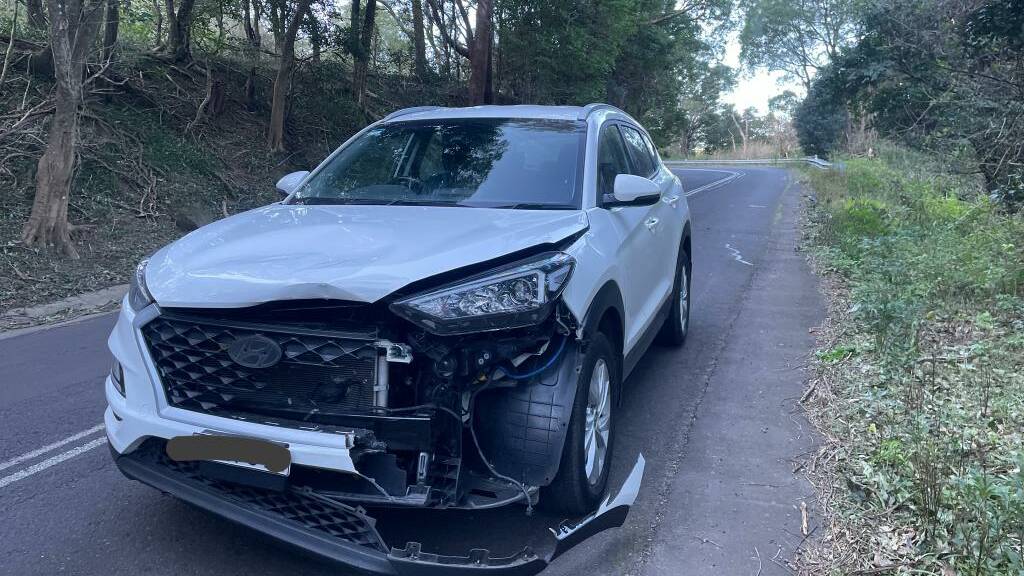 A Mercury photographer was lucky to go unharmed after a deer jumped out in front of her car on Mount Keira Road at Mount Keira in early July.