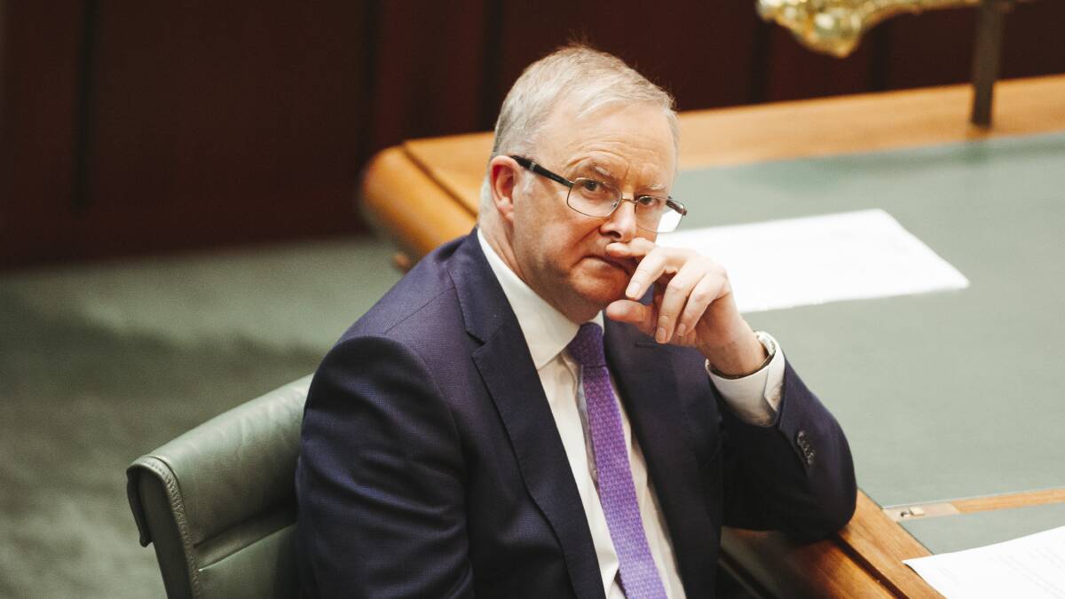Anthony Albanese wrote the rules that are now stopping his detractors from bringing him down. Picture: Dion Georgopoulos