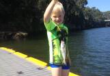 Young Lachlan Davis of Nowra with one of seven tailor, he caught and released in the Shoalhaven River recently with his brand new rod. 