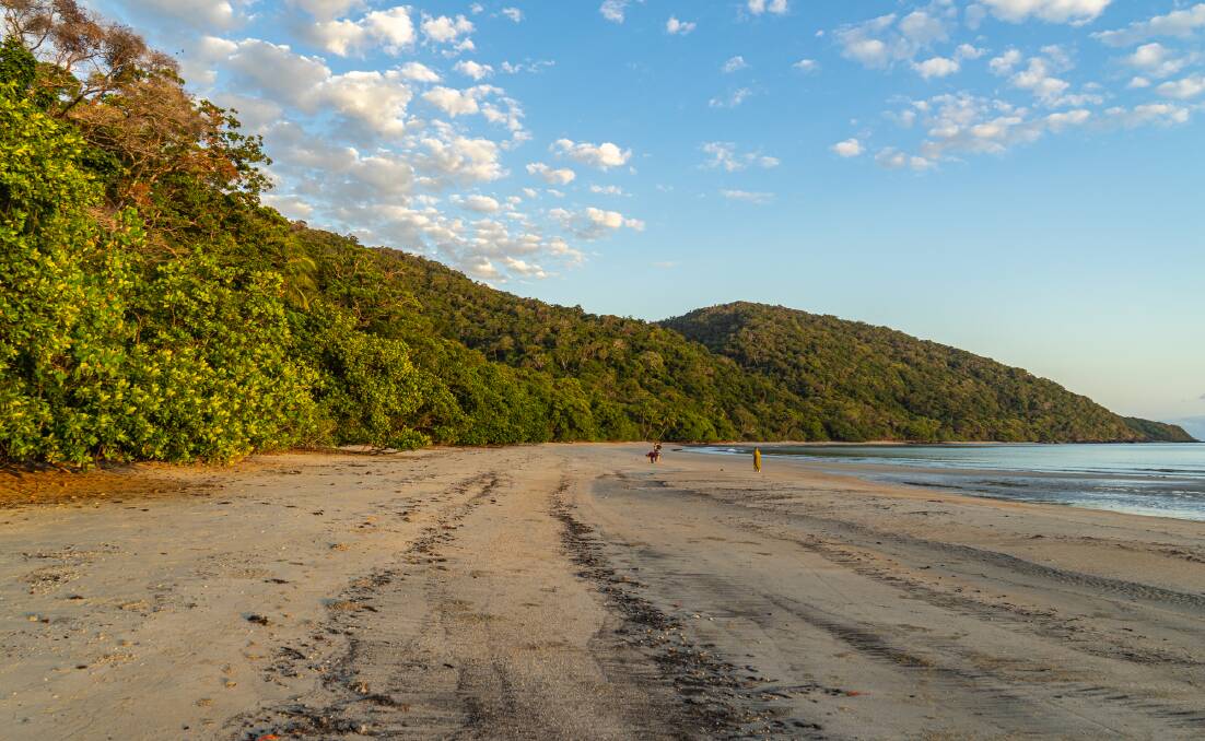 Early morning at Cape Tribulation. Picture: Michael Turtle 