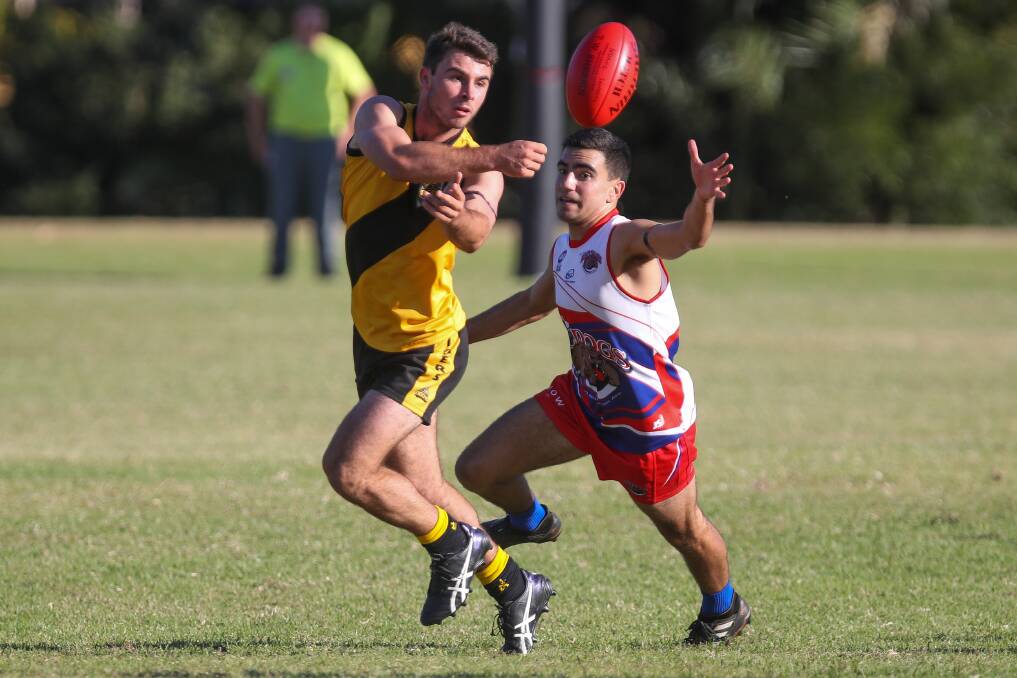 Northern District Tigers' Jed Winter handballs against the Wollongong Bulldogs on Saturday. Photo: Adam McLean