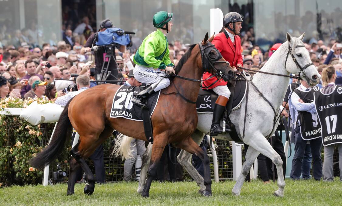 Zacada ridden by Damian Lane on the way to the barriers prior to the Melbourne Cup at Flemington in 2018. Photo: George Salpigtidis/Racing Photos