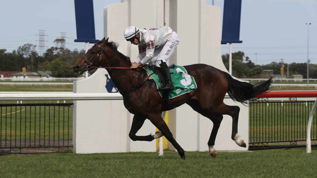 Mitchell Bell and Count De Rupee hit the line at Kembla Grange on Saturday. Photo: Robert Peet