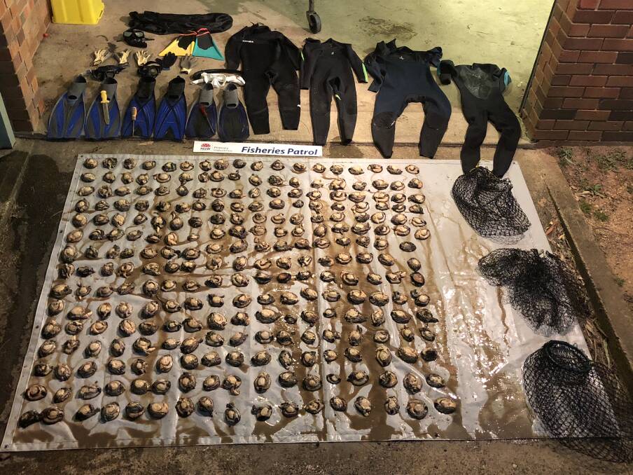 BUSTED: Seized abalone and diving gear of the four apprehended for their illegal abalone haul. Picture: Department of Primary Industries.
