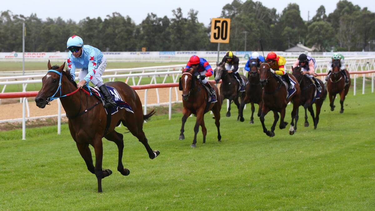 New home: Sister Sledge will contest her first race since being transferred to Robert and Luke Price at Kembla Grange on Thursday. Photo: Geoff Jones.