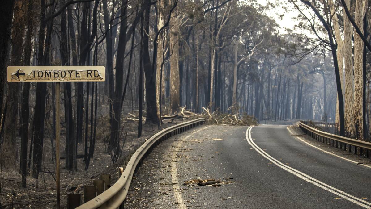 Burnt trees highlight the devastation along the Princes Highway north of Batemans Bay. Picture: Sitthixay Ditthavong