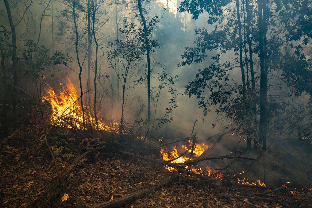 Fire in Brooman State Forest. Picture: Sitthixay Ditthavong