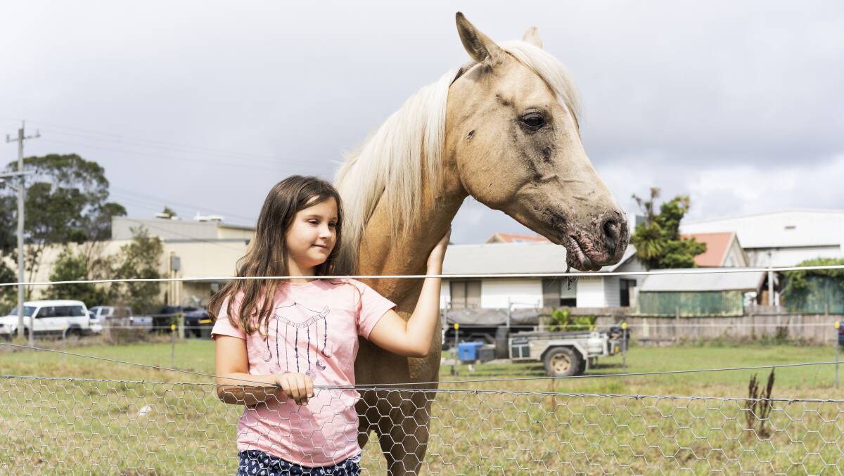 Imogen Seidel with Caspian the horse who was burned on the mouth and eye from bushfires and is currently being treated at the Moruya Veterinary Hospital. Picture: Dion Georgopoulos