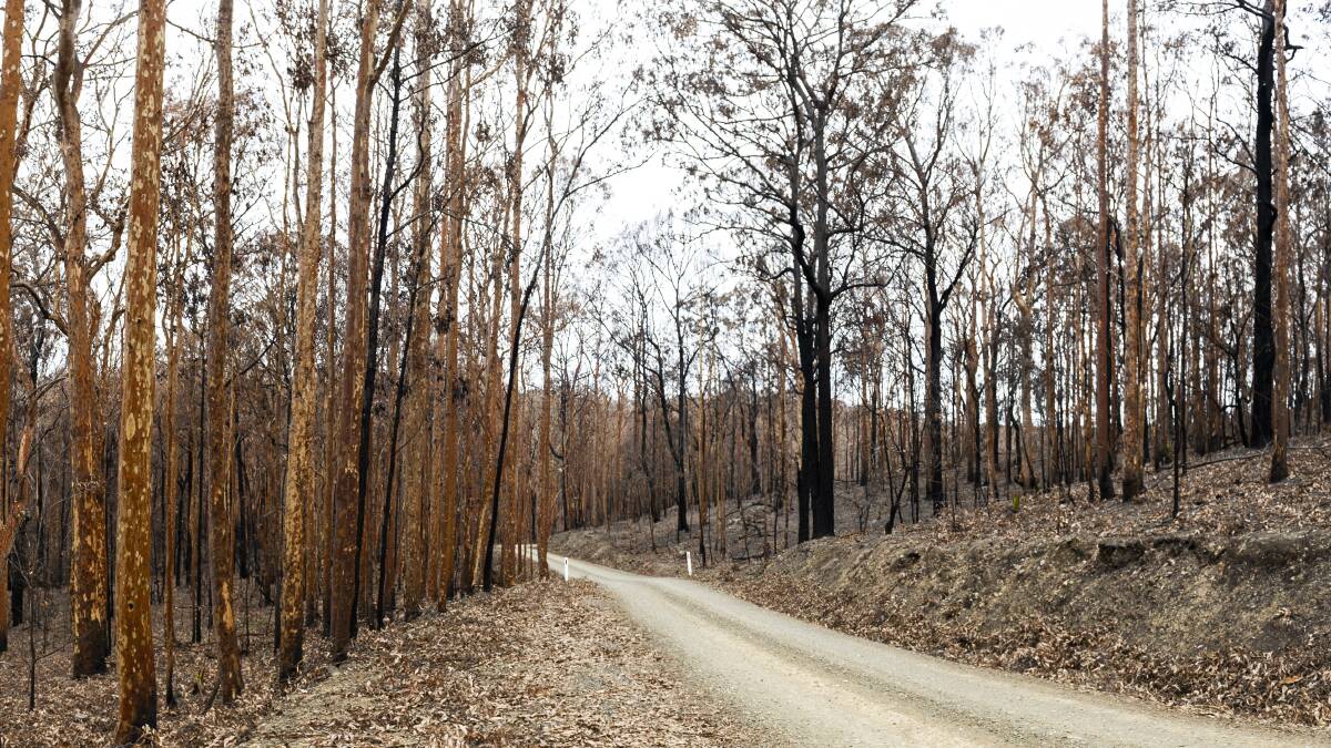 Devastation left behind by the bushfires in Malua Bay. Picture: Dion Georgopoulos