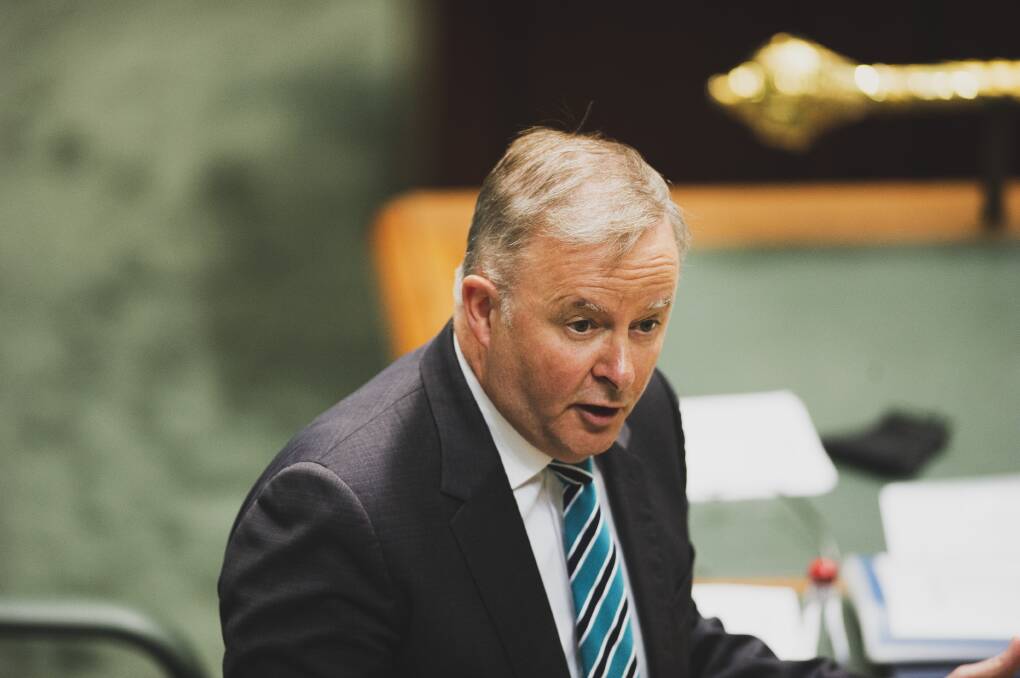Opposition Leader Anthony Albanese. Picture: Dion Georgopoulos