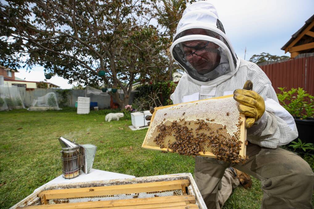 ENVIRO BAROMETER: Towradgi beekeeper Dave West with one of his hives. He has helped eradicate pest species previously. Photo: Adam McLean