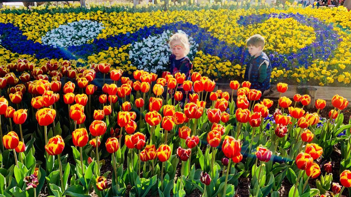 Eliza and Christopher Galwey were mesmerised by the stunning floral colour of the most recent Tulip Time in 2019. Photo by Tanya Galwey