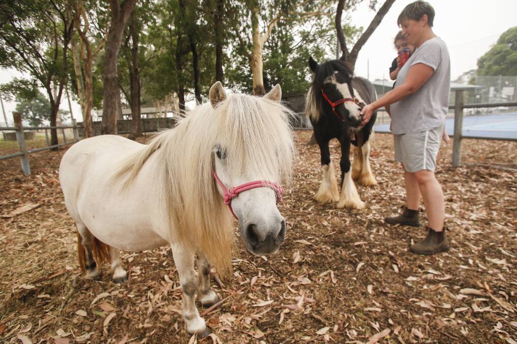 The Robertson family have brought Magic the miniature pony and gypsy cob Ike to safety at the showground.