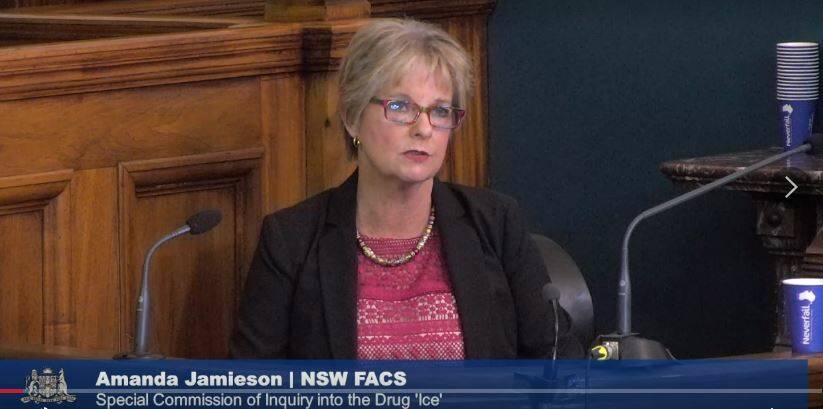Child protection: FACS manager Amanda Jamieson gave evidence at the inquiry.
