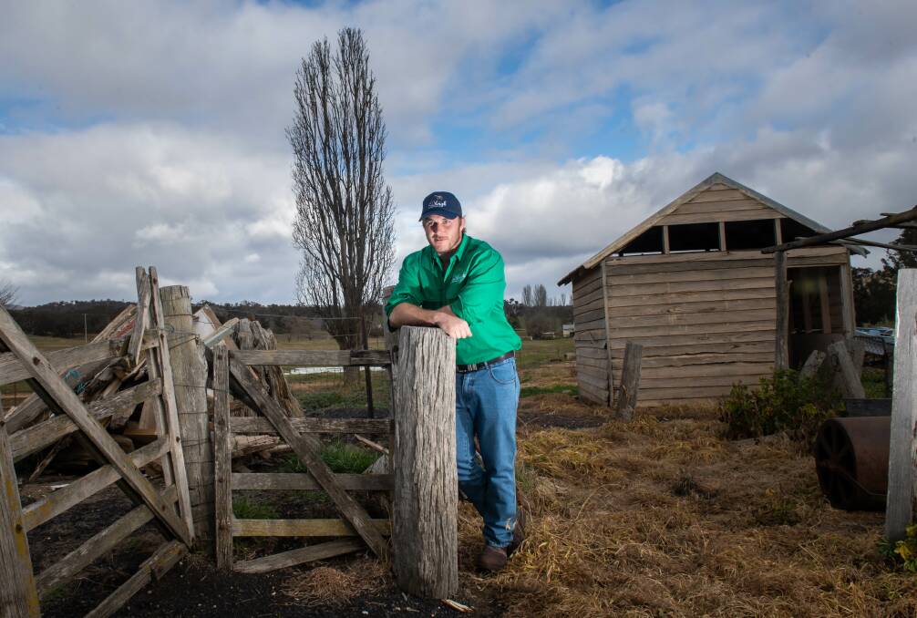 Will Miller spends two days per week working at Richard Harry's Bungendore farm. Photo: Karleen Minney