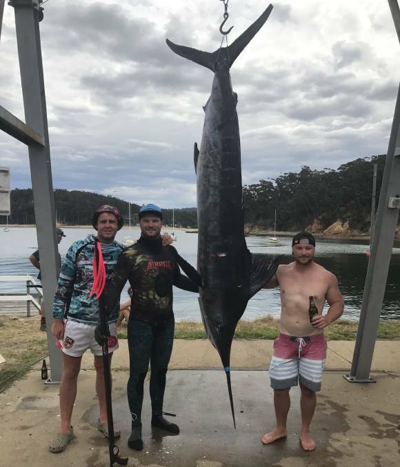 Fishing mates from Canberra and Eden, Luke Pattrick, Timmy Knight and Kyran Crane at Quarantine Bay with the 138.5 kilo South Coast striped marlin caught off Eden on Sunday.