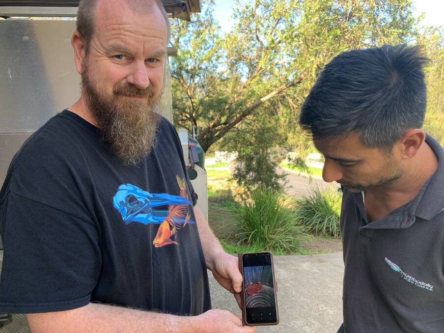 CAUGHT ON CAMERA: Steve Benjamin shows a photo of the cane toad to Eurobodalla Shire Councils Invasive Species Officer Paul Martin in February.