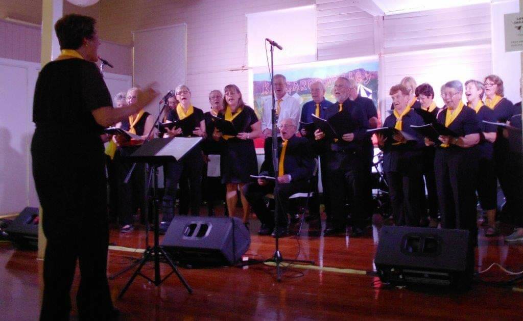 ALL TOGETHER: The Shoalhaven Community Choir in action at the Kangaroo Valley Folk Festival last year. The group will join forces with Sing Australia Vincentia, Raised Voices and students form the Shoalhaven Music and Performing Arts Studio to celebrate international Make Music Day on Friday, June 21. Photo: supplied. 