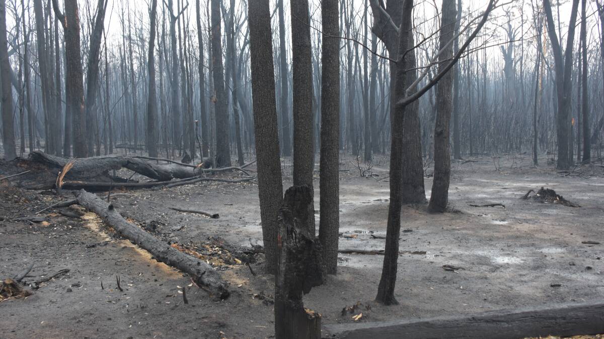 Grants up to $30,000 on offer to bushfire affected communities