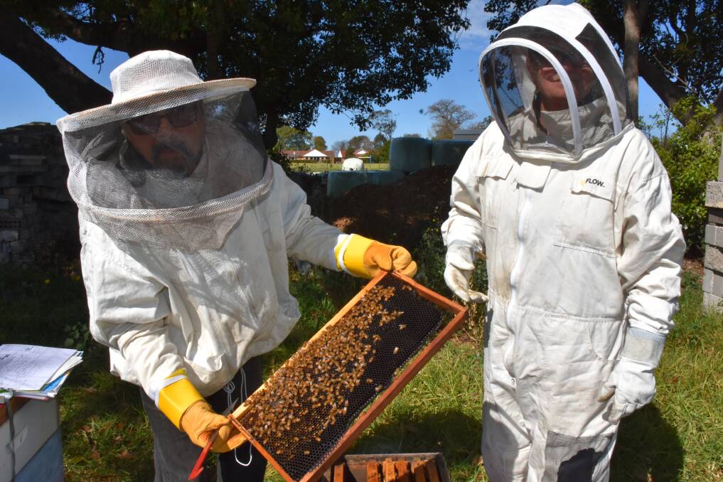 ON DUTY: Shoalhaven Beekeepers Association members Trevor Edmond and Robbie Collins inspect their hives in Numbaa. 