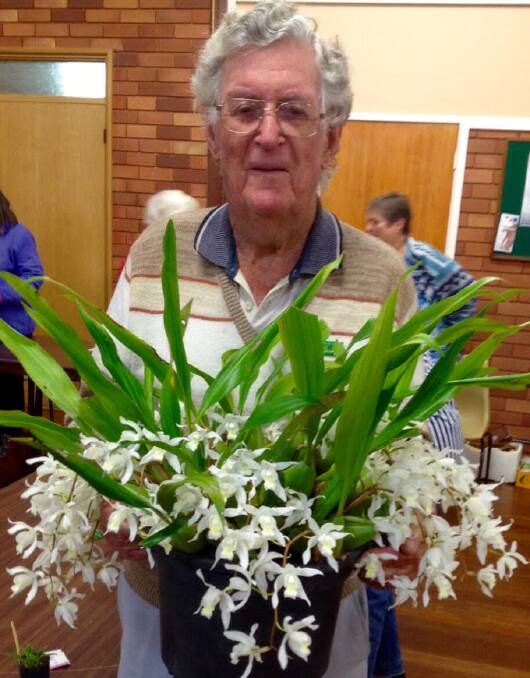BLOOMING BEAUTIFUL: Society member, Frank Bowyer with his beautiful Coelogyne orchid which won a first place in a recent regional orchid show.