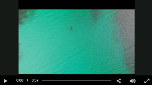 IMPRESSIVE: A still from the video captured by Laurie Owens from Bayside Aerial Images.