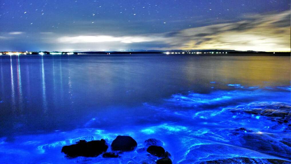 BEAUTIFUL, HOWEVER YOU SAY IT: Local photographer Dannie Connolly captured bioluminescence, a natural phenomenon, in Jervis Bay earlier this year. Photo: Dannie and Matt Connolly Photography.