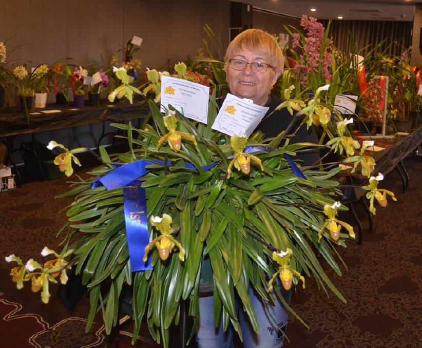 STUNNING: Sandra Ellis, at the recent Winter Show with her huge specimen plant of Paphiopedilum insigne. Photo: supplied. 