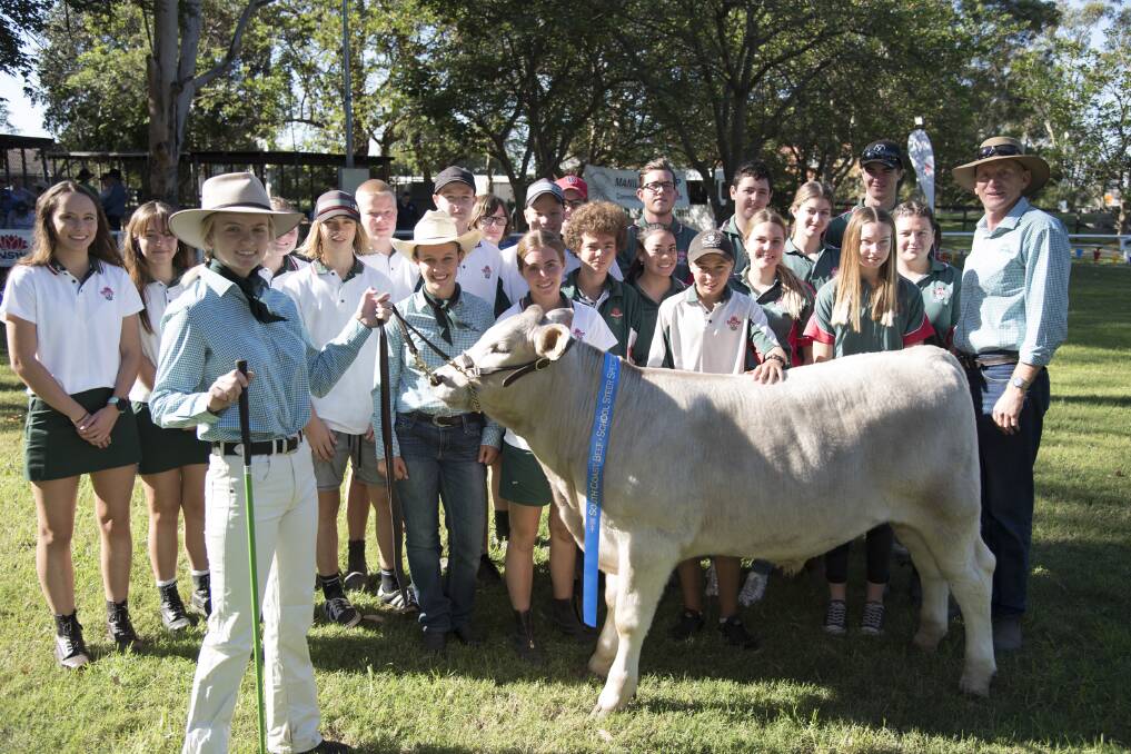 ON SHOW: Bomaderry students with their steer which won the lightweight led division last year. Pic: Nathan Devine / Trend Photography.