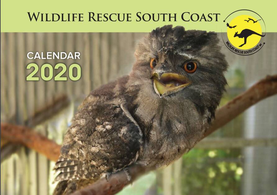 Cutest cover models light up Wildlife Rescue South Coast calendar