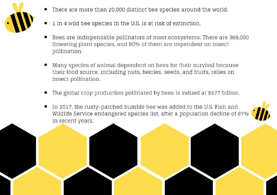 Bee aware of our tiny but mighty residents