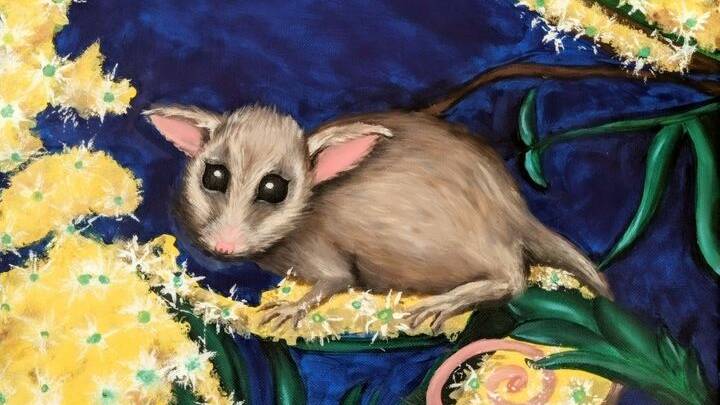 Barry the Lonely Pygmy Possum by Anastasia Pole, age 10. Source: Wild Art Art threatened species art competition for kids. 