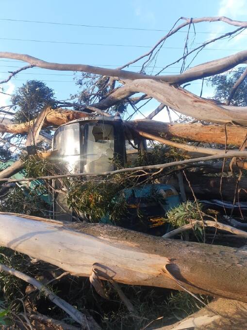 PIC OF THE DAY: Wild winds hit the Shoalhaven hard recently. Photo by K.Meehan-Harris, Beaumont. Email photos to john.hanscombe@southcoastregister.com.au 