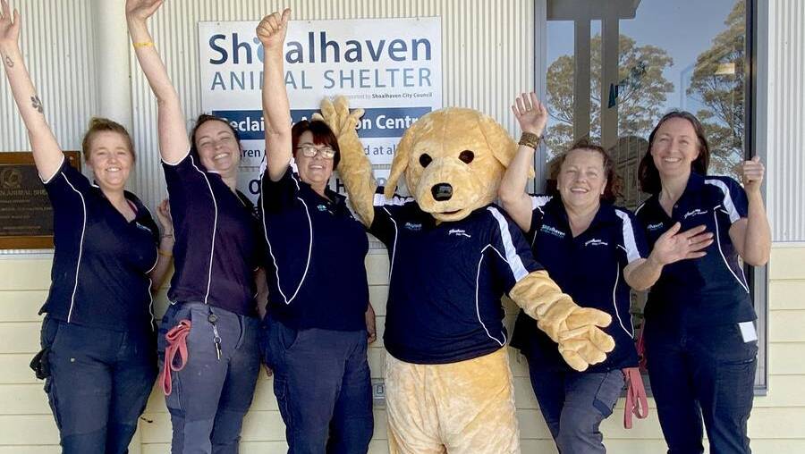 Shoalhaven Council's Animal Shelter was named Outstanding Council Animal Shelter at the Jetpets Companion Animal Rescue Awards recently.