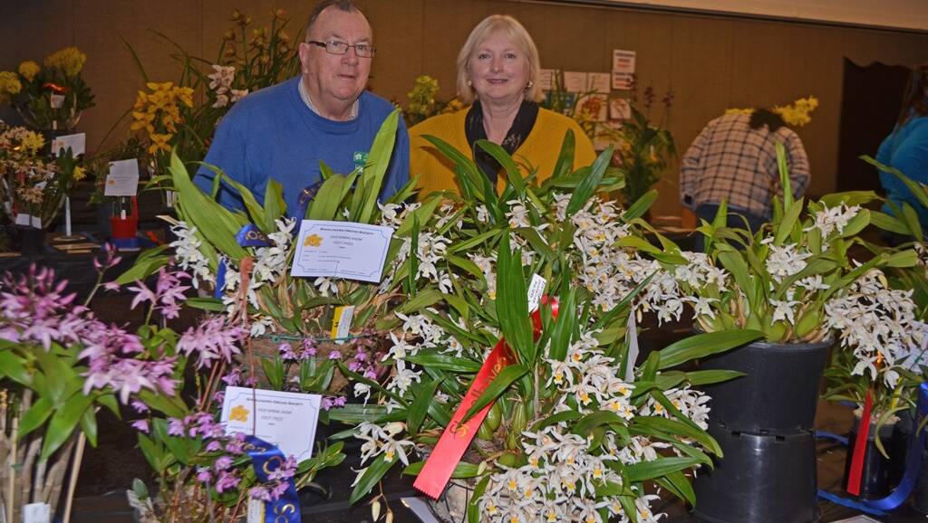 President Louise Gannon, and benching marshal Don Hogan, with some of the orchids on display at the spring show. Photo: supplied.