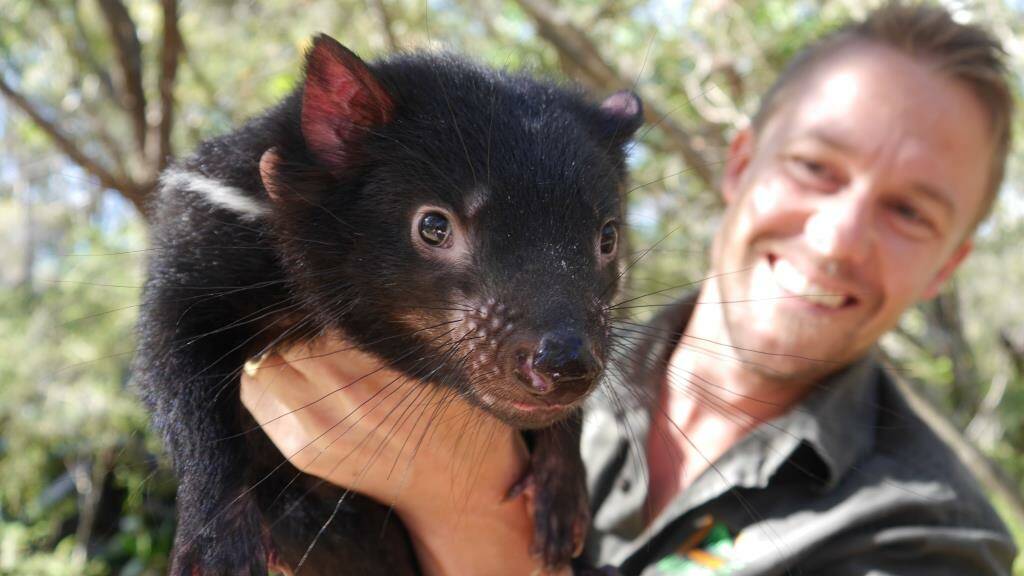 Aussie Ark's Tim Faulkner is excited to see what impact the devils have on the ecology of the Barrington Tops. PHOTO: Supplied