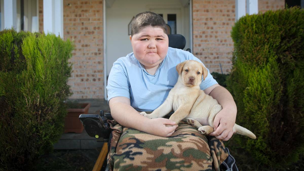 Illawarra residents last year chipped in money to buy a companion dog for Hunter, who is suffering from an incurable disease. 