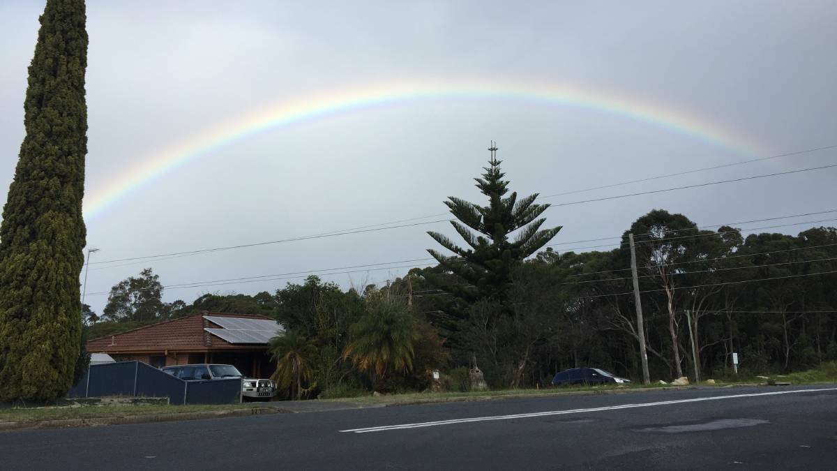 Shoalhaven to have a dream of spring this weekend
