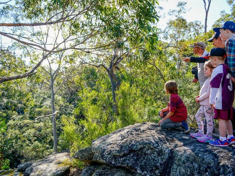 Bomaderry Creek  walking track. Image supplied.