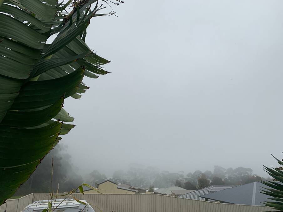 Foggy morning in the Shoalhaven.